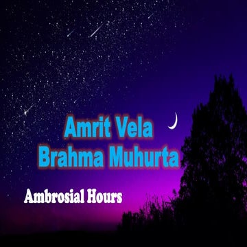 Amrit vela