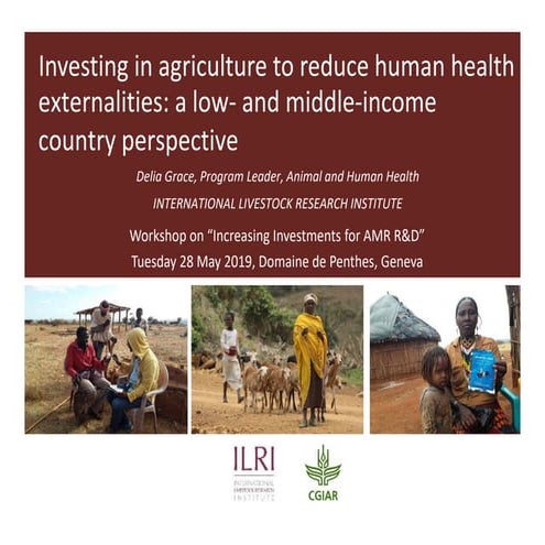 Investing in agriculture to reduce human health externalities: A low- and mid...