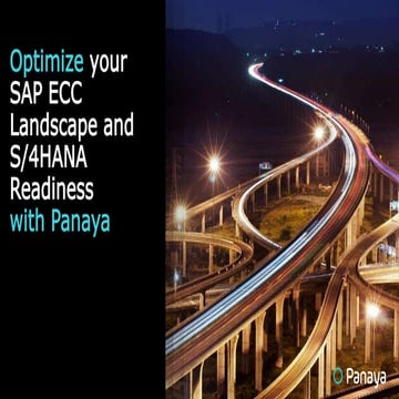 Optimizing Your SAP ECC Landscape and S/4HANA Readiness