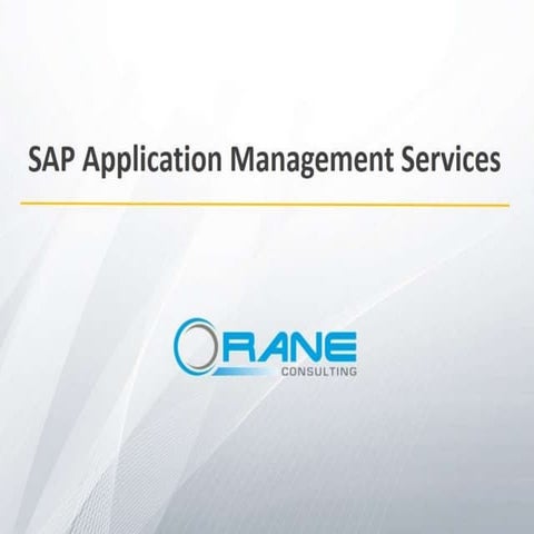 Application Management Services