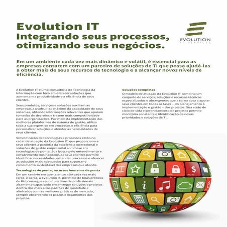 Evolution It - AMS (Application Management Systems) BI