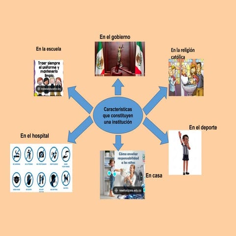 AMSJ 2025_institucion_y_organizacion.pptx
