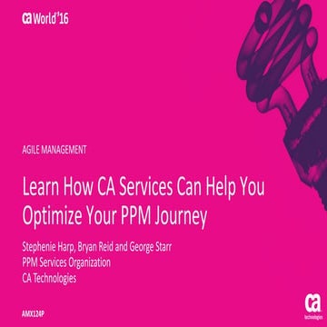 Learn How CA Services Can Help You Optimize Your PPM Journey
