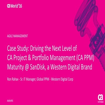 Case Study: Driving the Next Level of CA Project & Portfolio Management Matur...