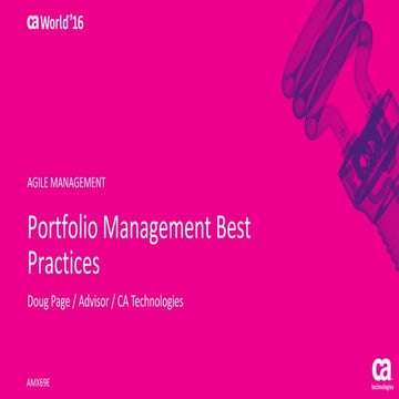 Portfolio Management Best Practices