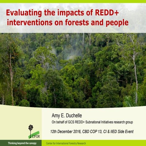 Evaluating the impacts of REDD+ interventions on forests and people