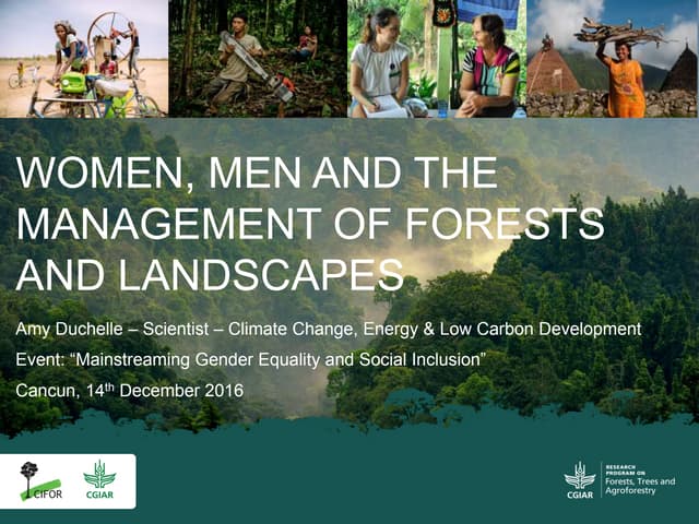 Women, men and the management of forests and landscapes