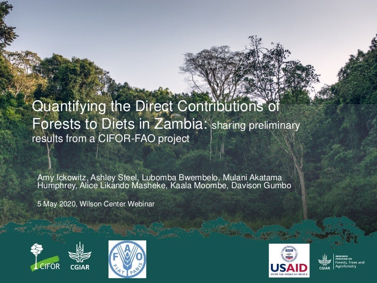 thumbnail of  Quantifying the direct contributions of forests to diets in Zambia: sharing preliminary result from a CIFOR-FAO project
