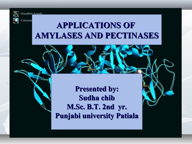 Amylases and pectinases