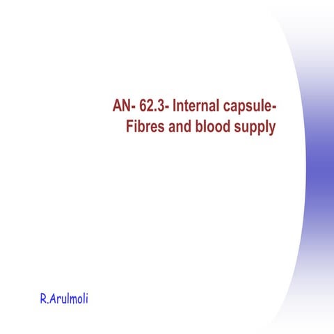 AN- 62.3- Internal capsule- Fibres and blood supply.pdf