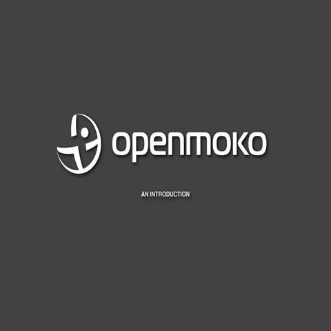 An Openmoko Overview