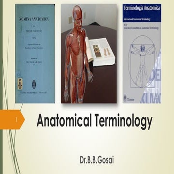 AN 1.1 introduction anatomical terminology-Dr.Gosai