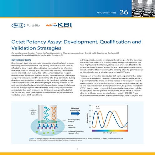 Octet Potency Assay: Development, Qualification and Validation Strategies