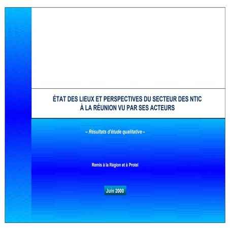 ÉTAT DES LIEUX ET PERSPECTIVES DU SECTEUR DES NTIC À LA RÉUNION VU PAR SES ACTEURS - 2000