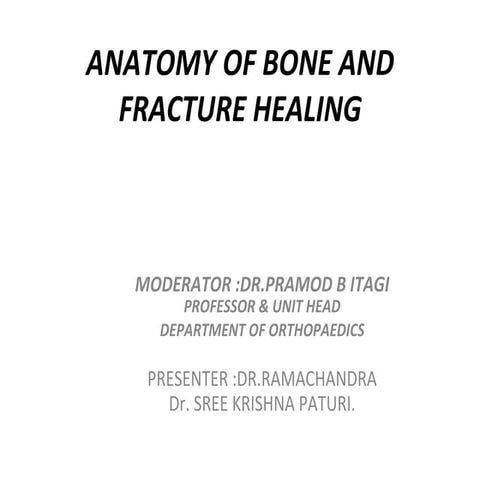 Anatomy of bone & fracture healing related to orthopaedics.