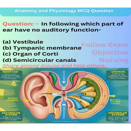 ANATOMY AND PHYSIOLOGY NURSING QUESTION visual data 3