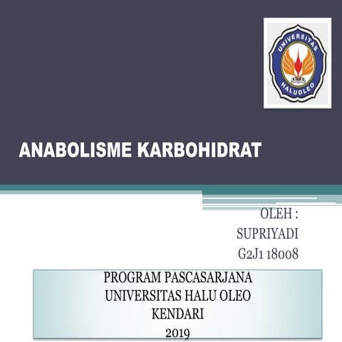 Anabolisme karbohidrat
