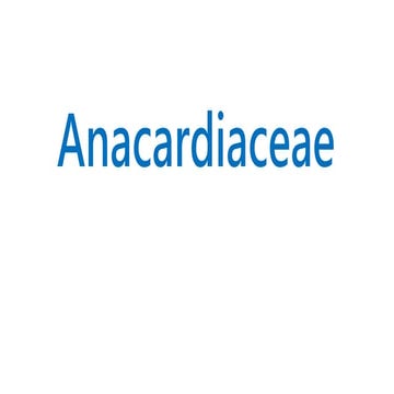 ANACARDACEAE.pptx