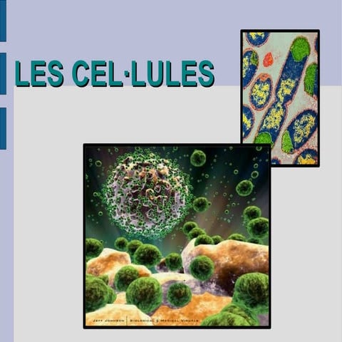 LES CÈL·LULES.pdf