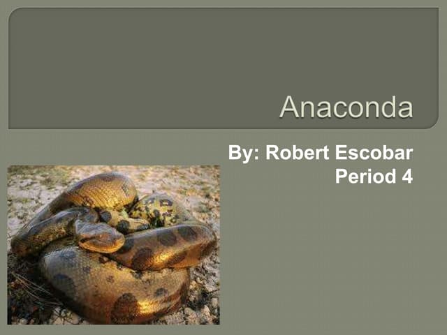 Anaconda powerpoint