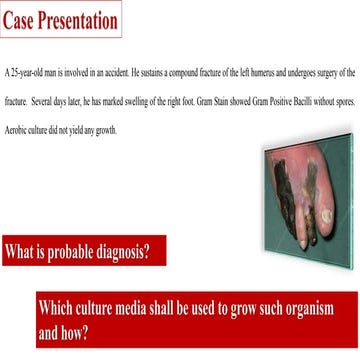 Anaerobic culture media and methods