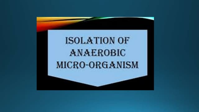 Anaerobic jar