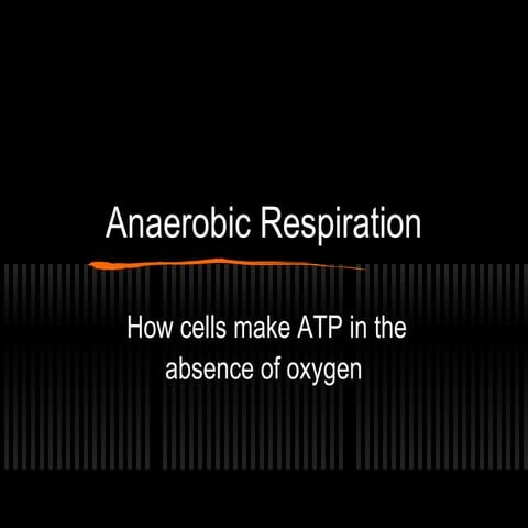 AP Bio Ch. 9 Anaerobic respiration