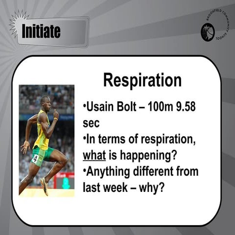 Anaerobic respiration system solo