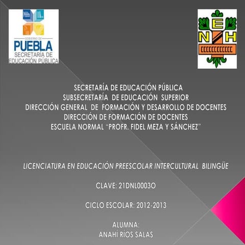 COMPRENSIÓN LECTORA Y PRODUCCIÓN DE TEXTOS Y COMPETENCIAS LINGUISTICAS.
