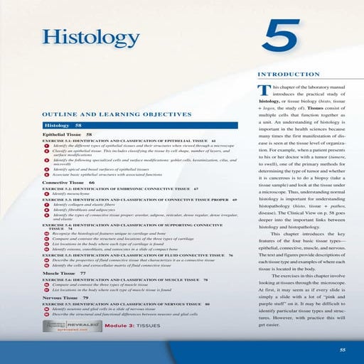 Ana_Lab activities for a lab tieuse-3-Tissues.pdf