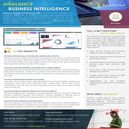 Analance Business Intelligence Infosheet