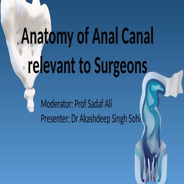 surgical-anatomy-anal-canal-pptx