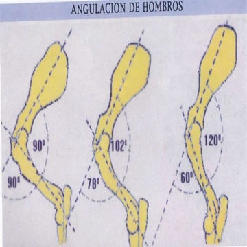 Analisis cientifico del movimiento3