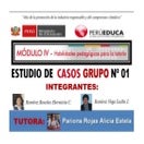 Estrategias de Aprendizaje en la Educación a Distancia - Analisis de casos