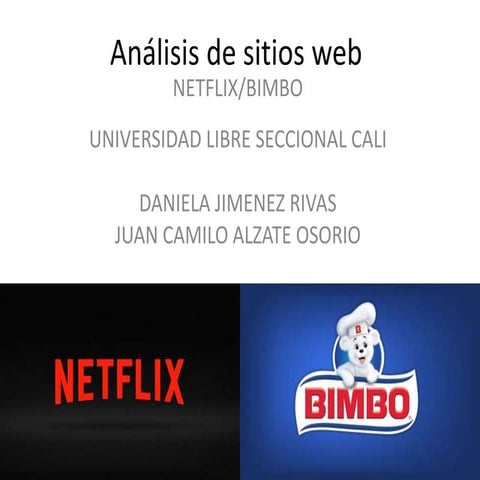 Analisis de sitios web NETFLIX / BIMBO