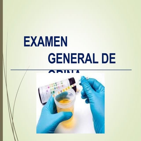 ANALISIS EXAMEN GENERAL DE ORINA EN LA PRACTICA MEDICA.pptx