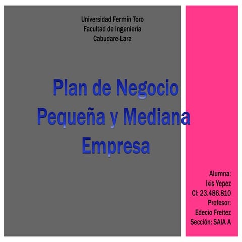 Analisis Plan de Negocio PYMES