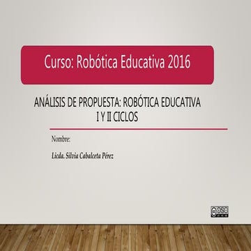 Análisis propuesta general Silvia Cabalceta