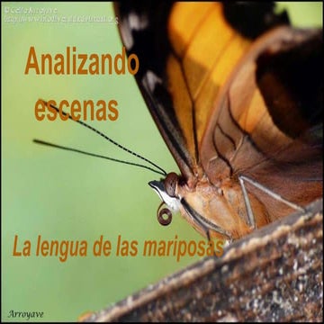 Analizando escenas (Grupo A)