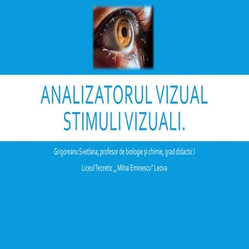 Analizatorul vizual. STIMULI VIZUALI.pptx
