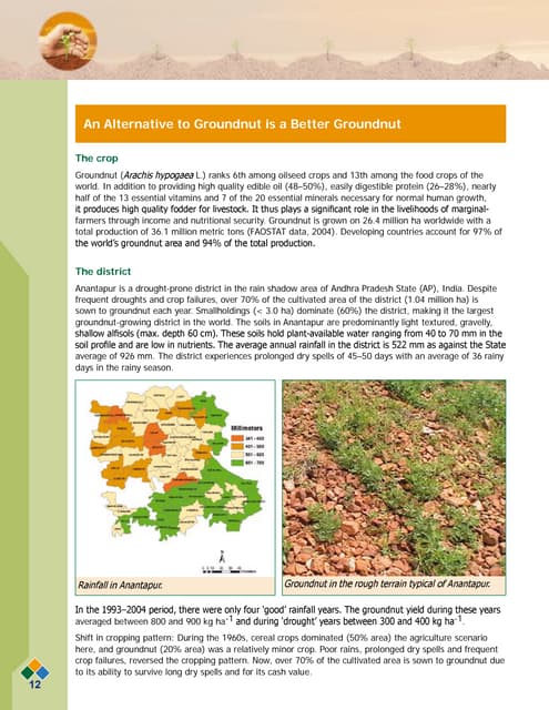 An alternative to groundnut is a be...