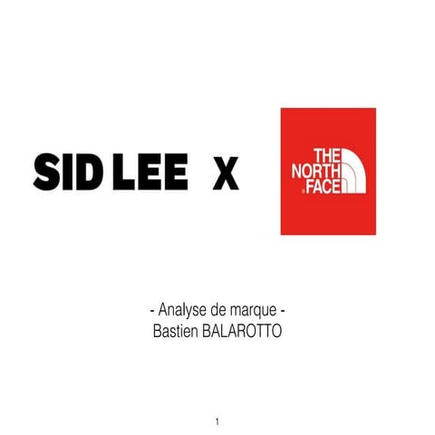 Analyse de marque - The North Face