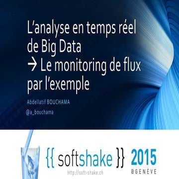 Analyse en temps réel de BigData