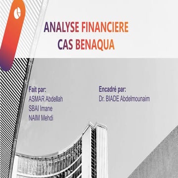 Analyse Financière de Benaqua Co.