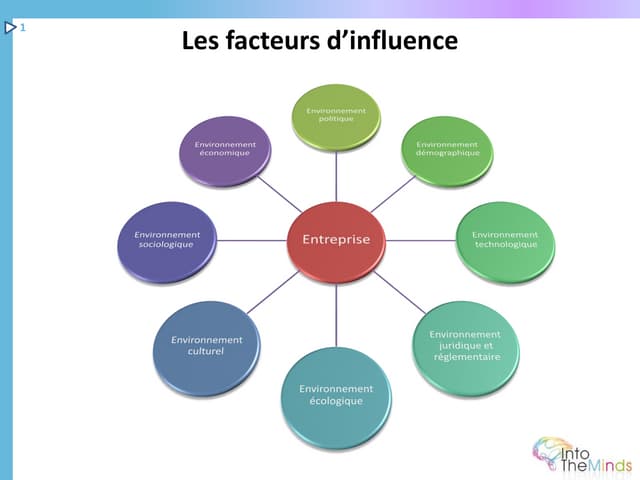 Etude de marché : comment réaliser ...