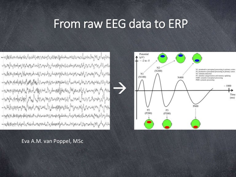 eeg data eeg data