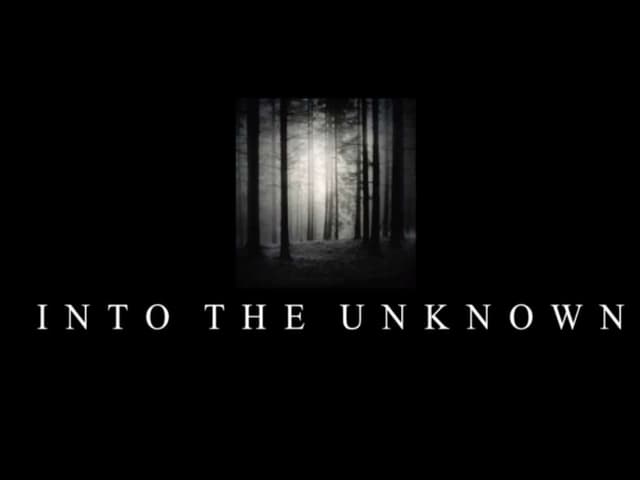 Analysis of Into the unknown