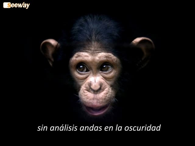 Analysis Y Seguimiento -Diputacion ...