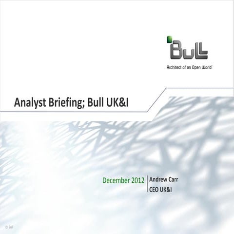 Bull UK Overview