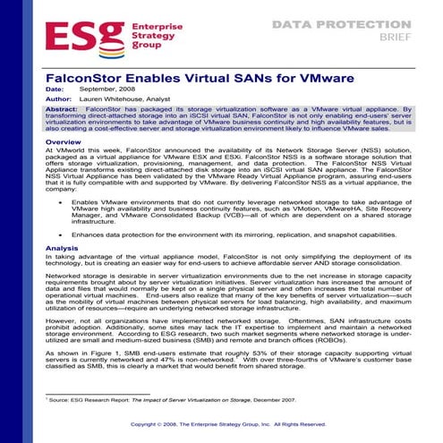 Falcon Stor Enables Virtual SANs For V Mware